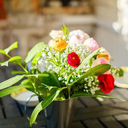 Eden Διαμέρισμα Μεντόν