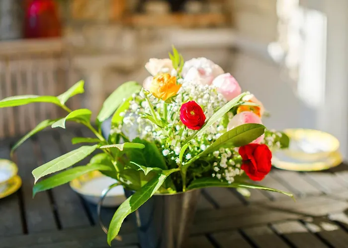 Eden Apartman Menton